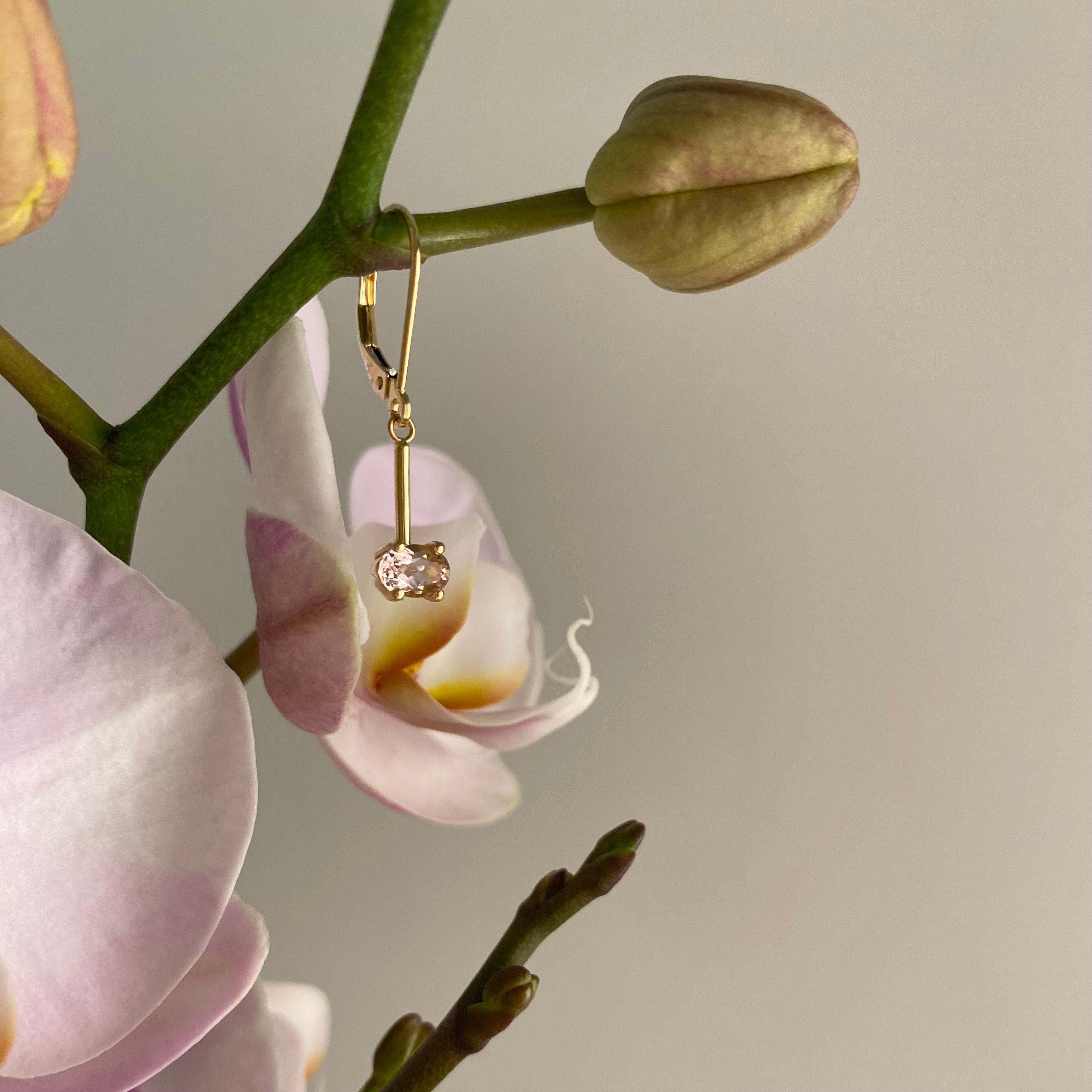 a 14 karat gold single earring hung on an orchid branch. orchids in background