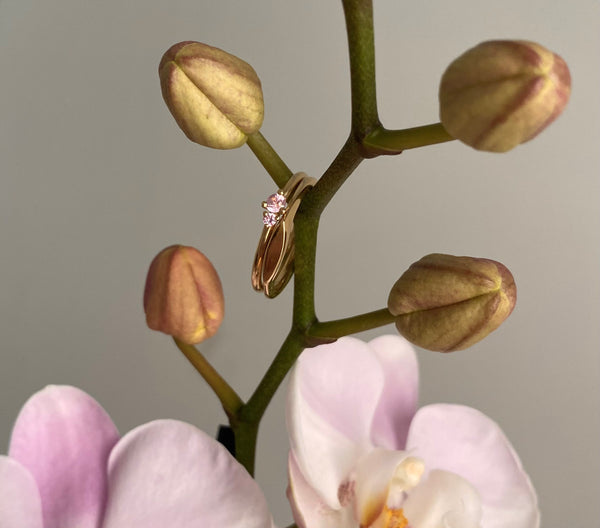 two 14 karat gold rings hung on an orchid branch