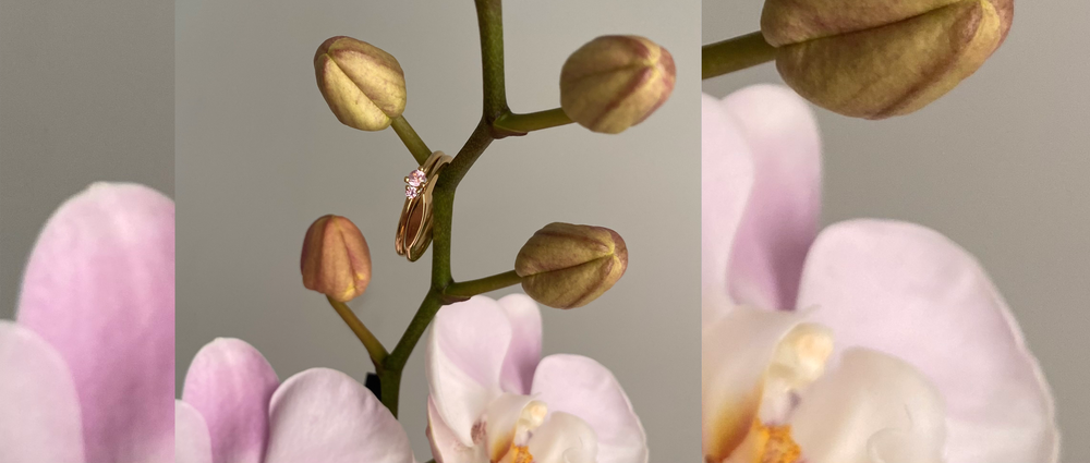 two gold dainty rings hung on an orchid branch, pink and white orchids in the background
