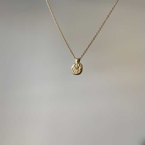 a textured coin gold pendant on a gold chain, white background