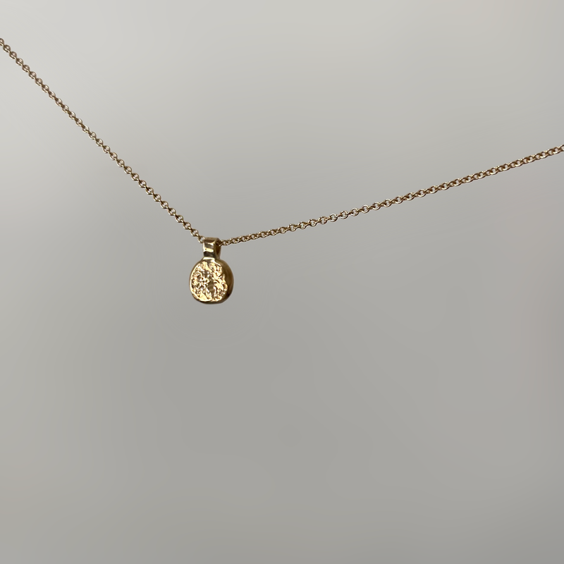 an amorphous coin style gold pendant on a gold chain, white background